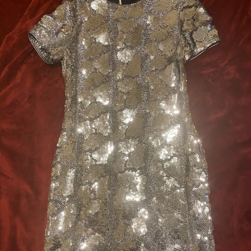 Silver sequin dress